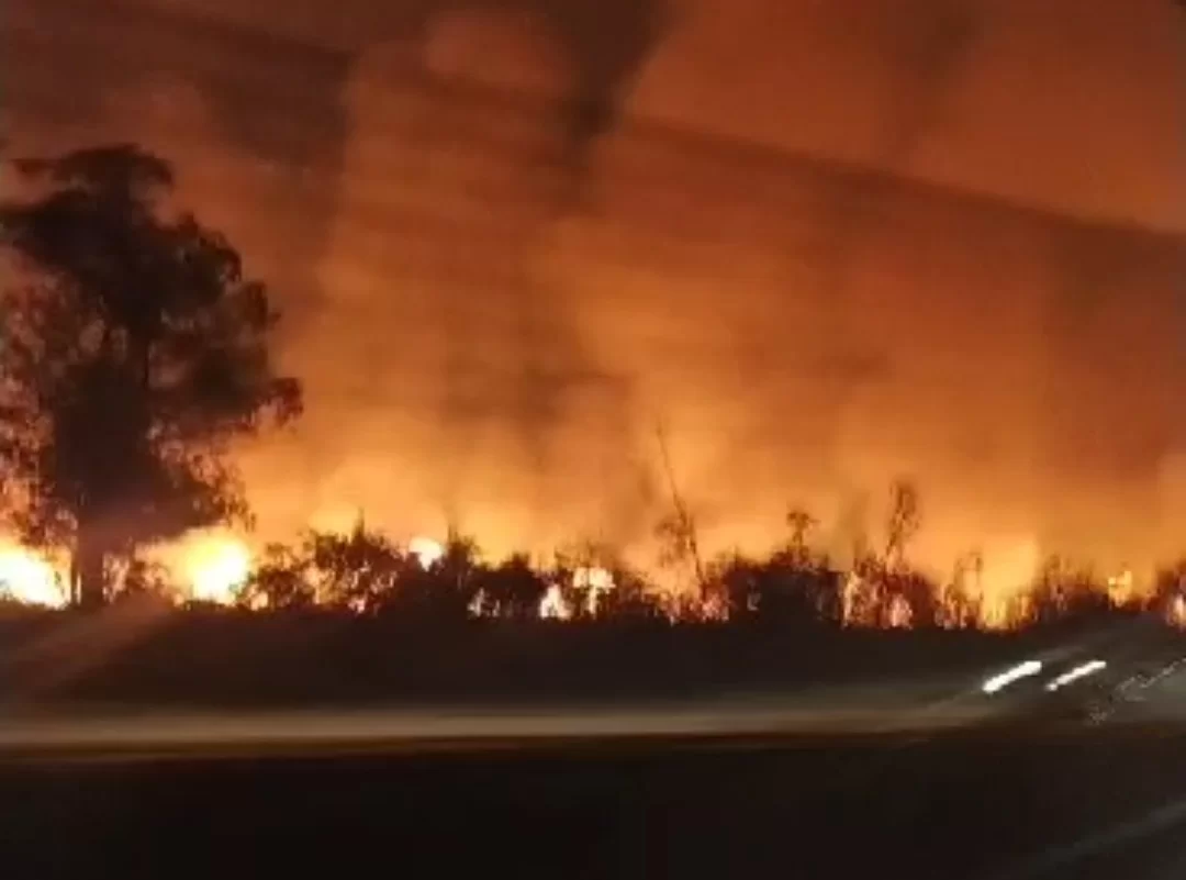 Urgente: Incêndio de grandes proporções atinge mata, em Caxias; Veja