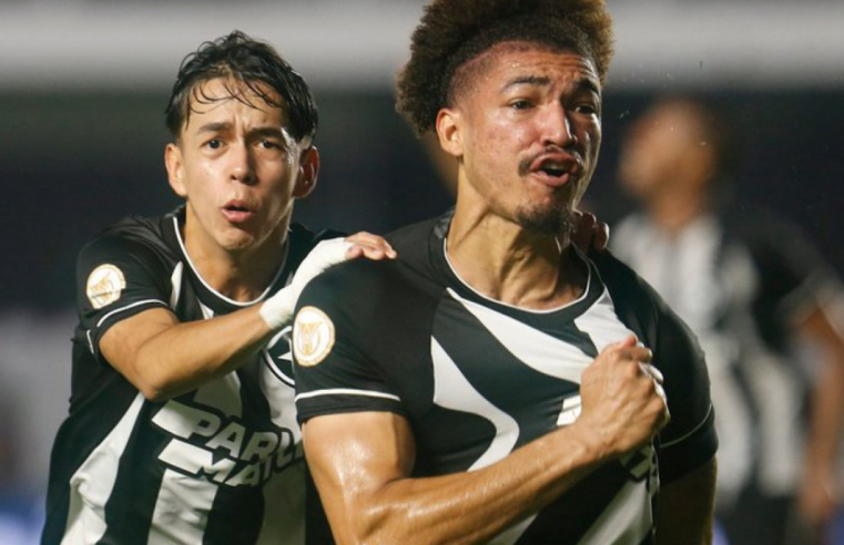 16a. rodada do Brasileirão: Botafogo lidera e Vasco está na última colocação