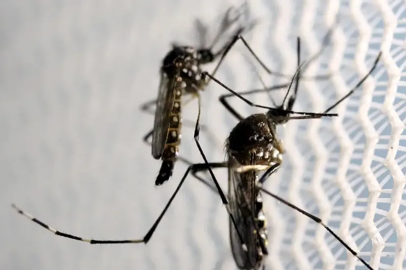 Explodiu os casos de dengue no estado do Rio