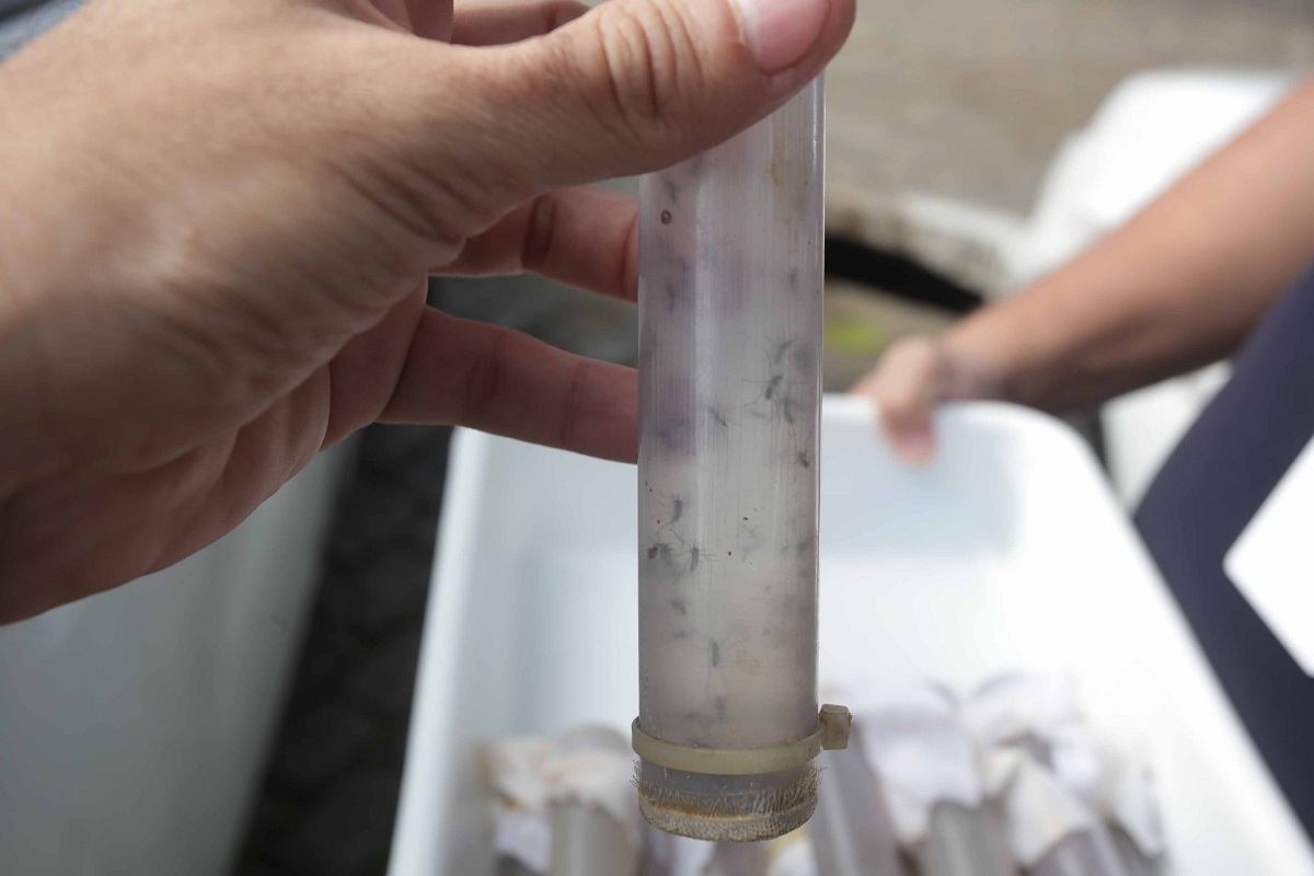 Niterói mantém casos de dengue sob controle com método inovador e 100% científico