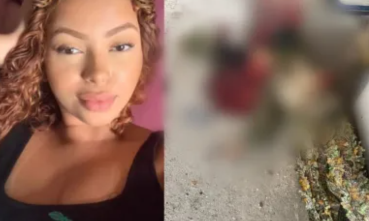 Japinha do CV segue viva e foragida