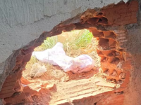 Superlotação favoreceu fuga em Degase da Ilha